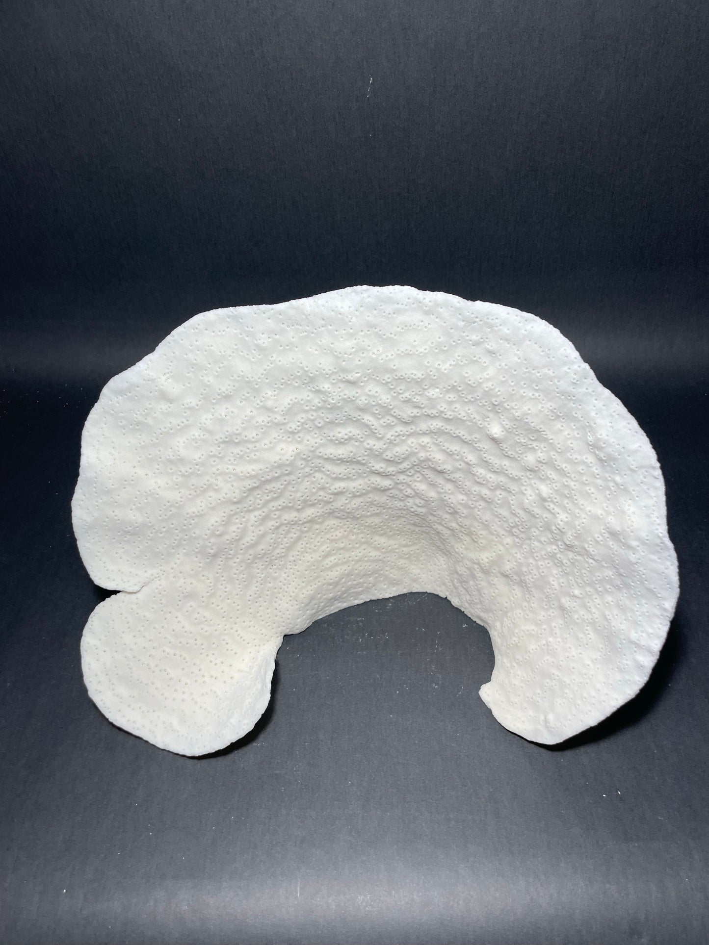 Cup Coral (13”x9”x7”)