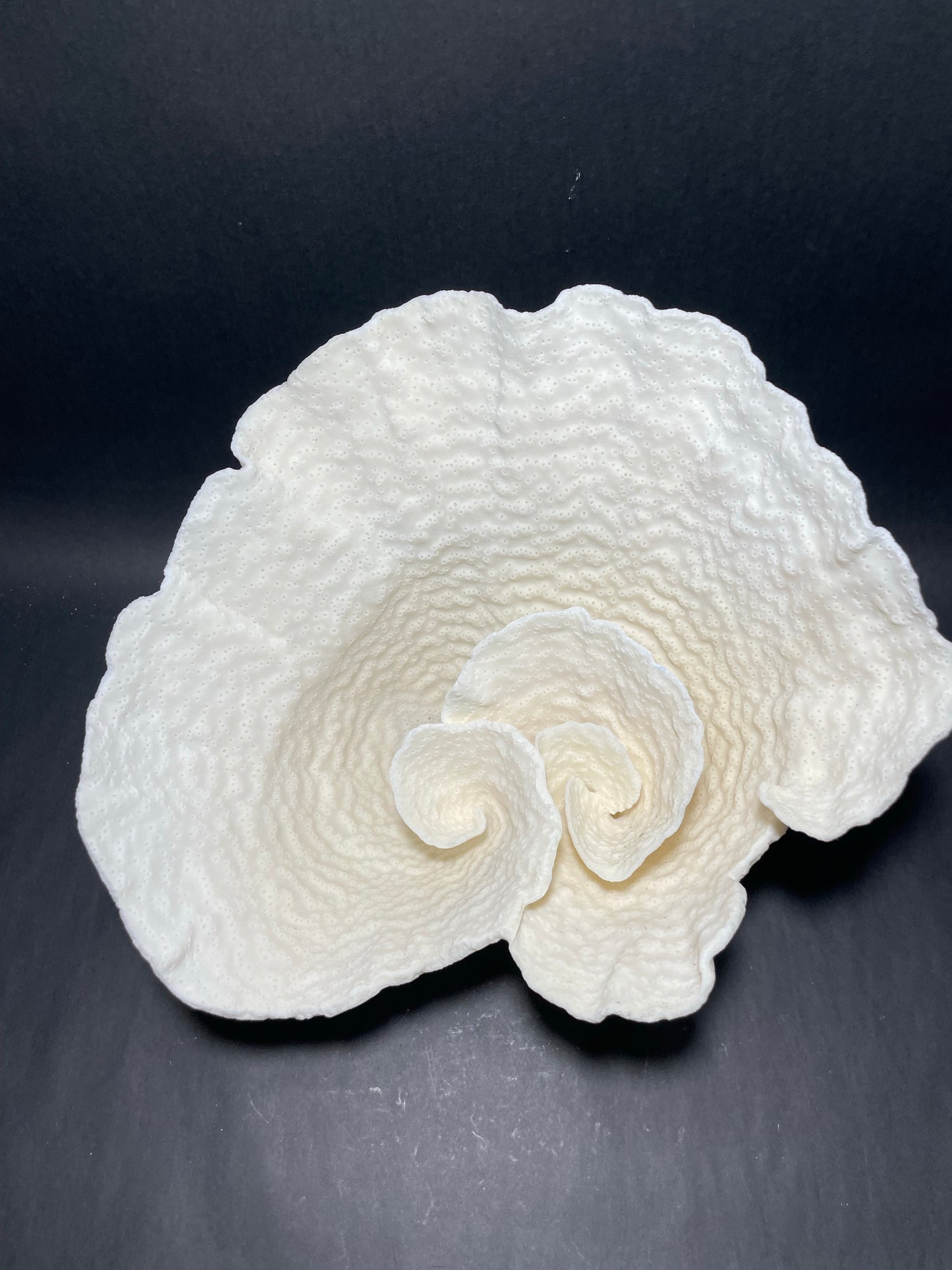 Cup Coral (12”x11”x9”)