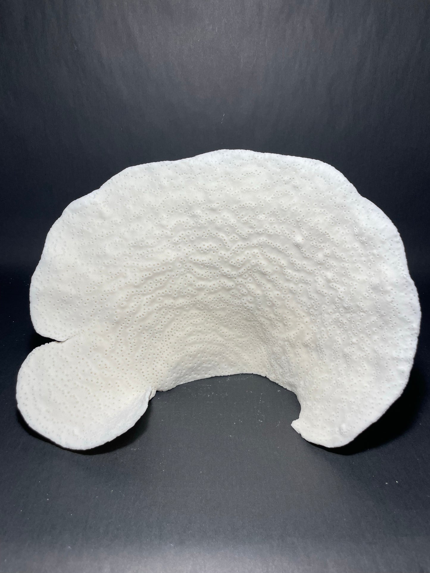 Cup Coral (13”x9”x7”)