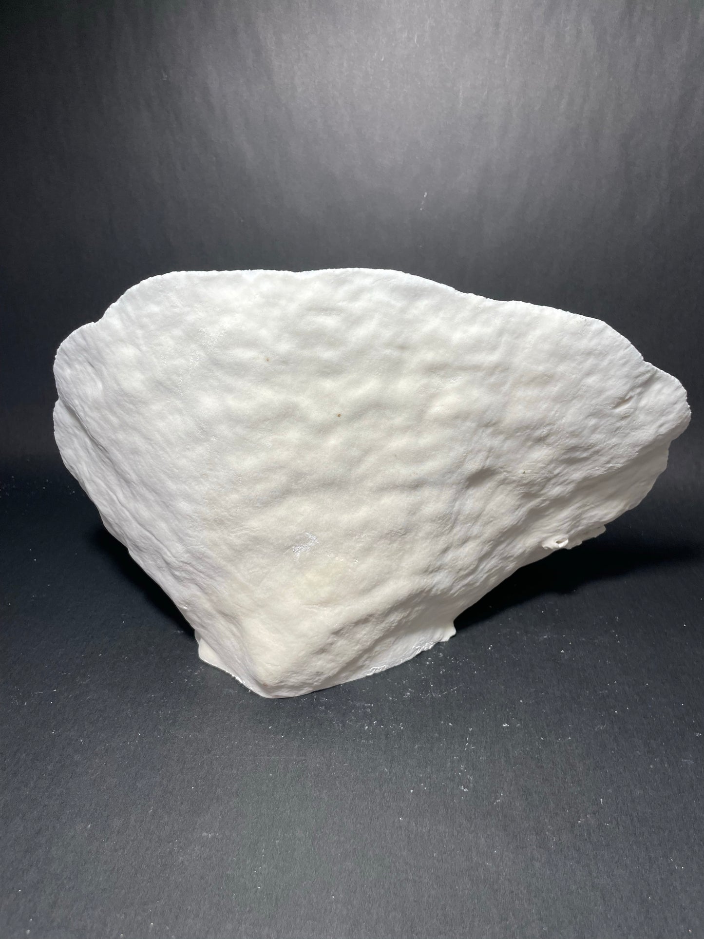 Cup Coral (13”x9”x7”)