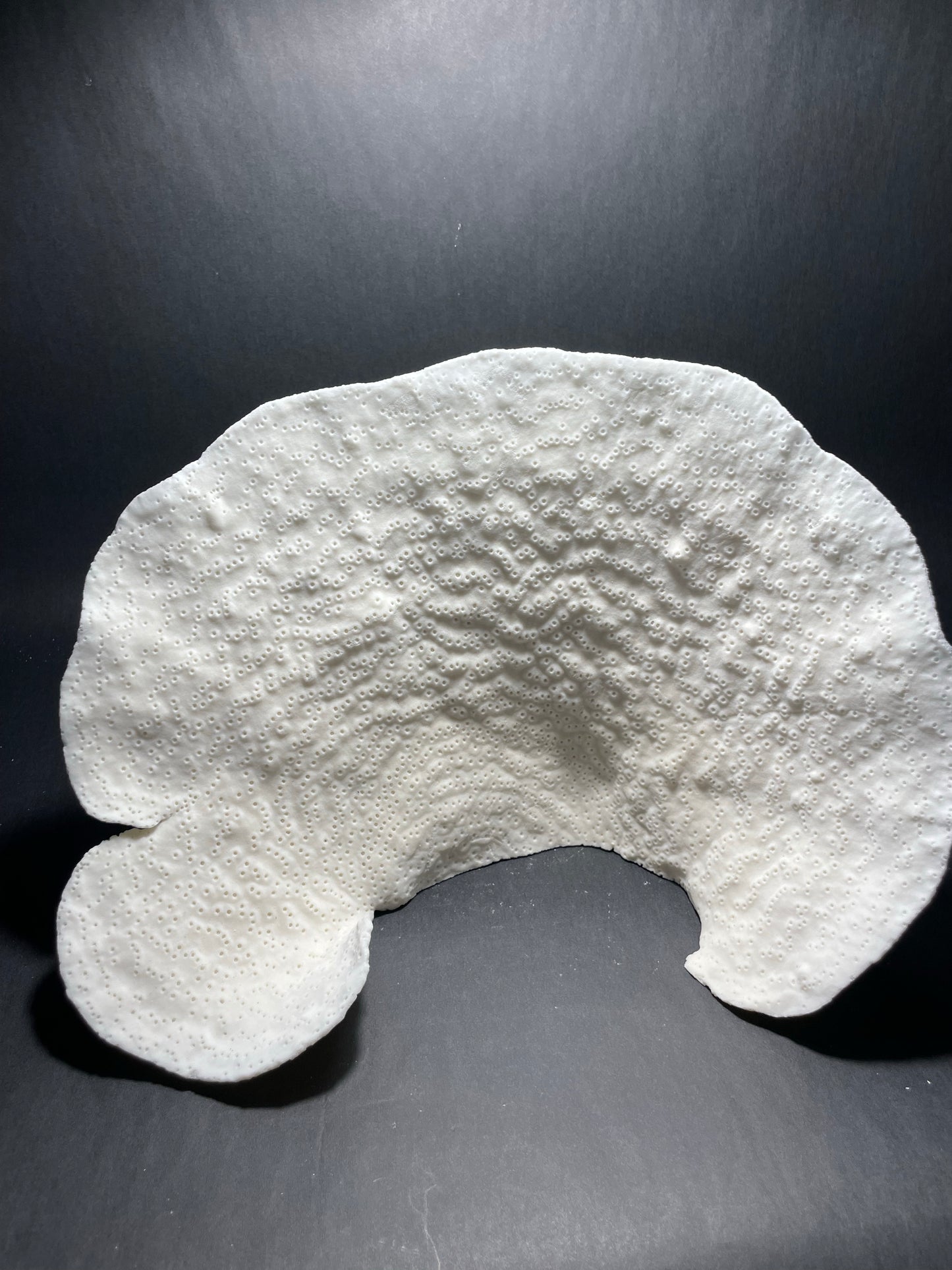 Cup Coral (13”x9”x7”)