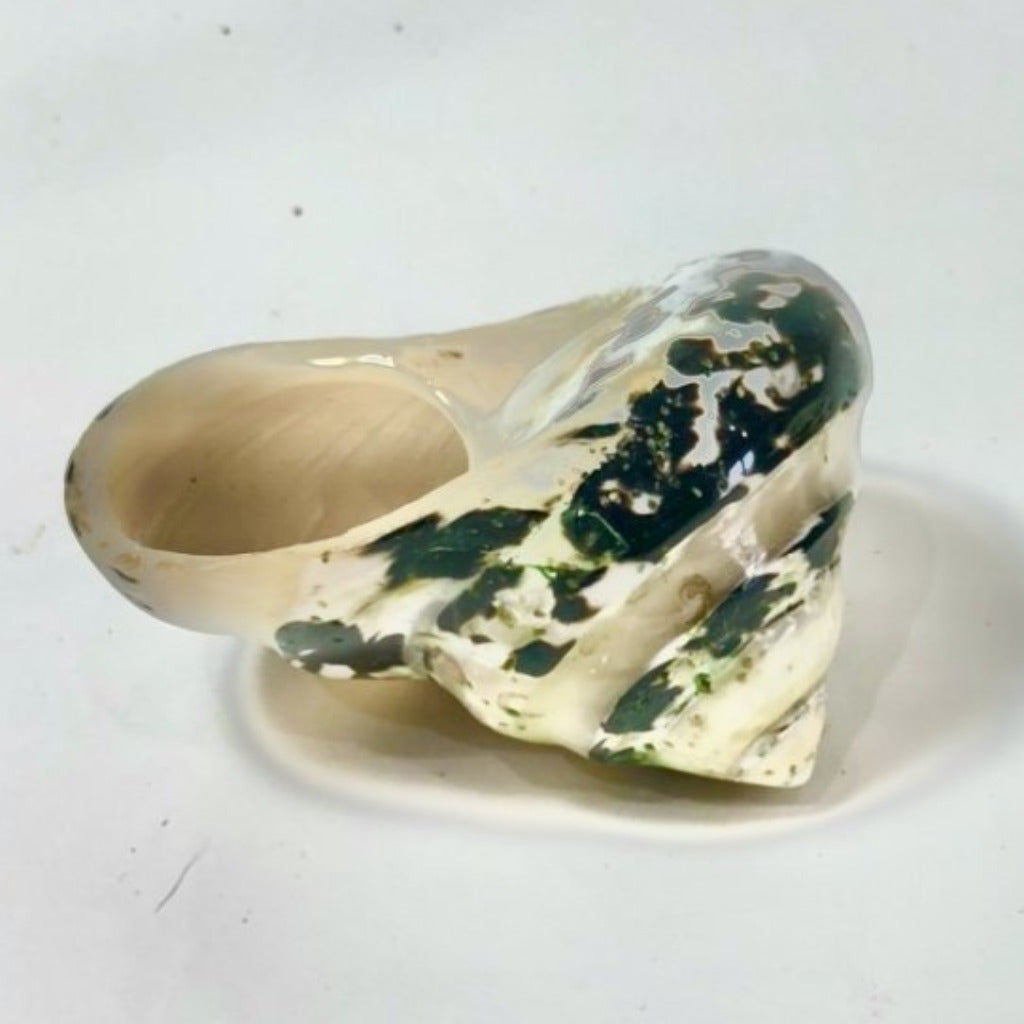 Pearl Banded Arapia (2.5”) - Treasures from Beneath