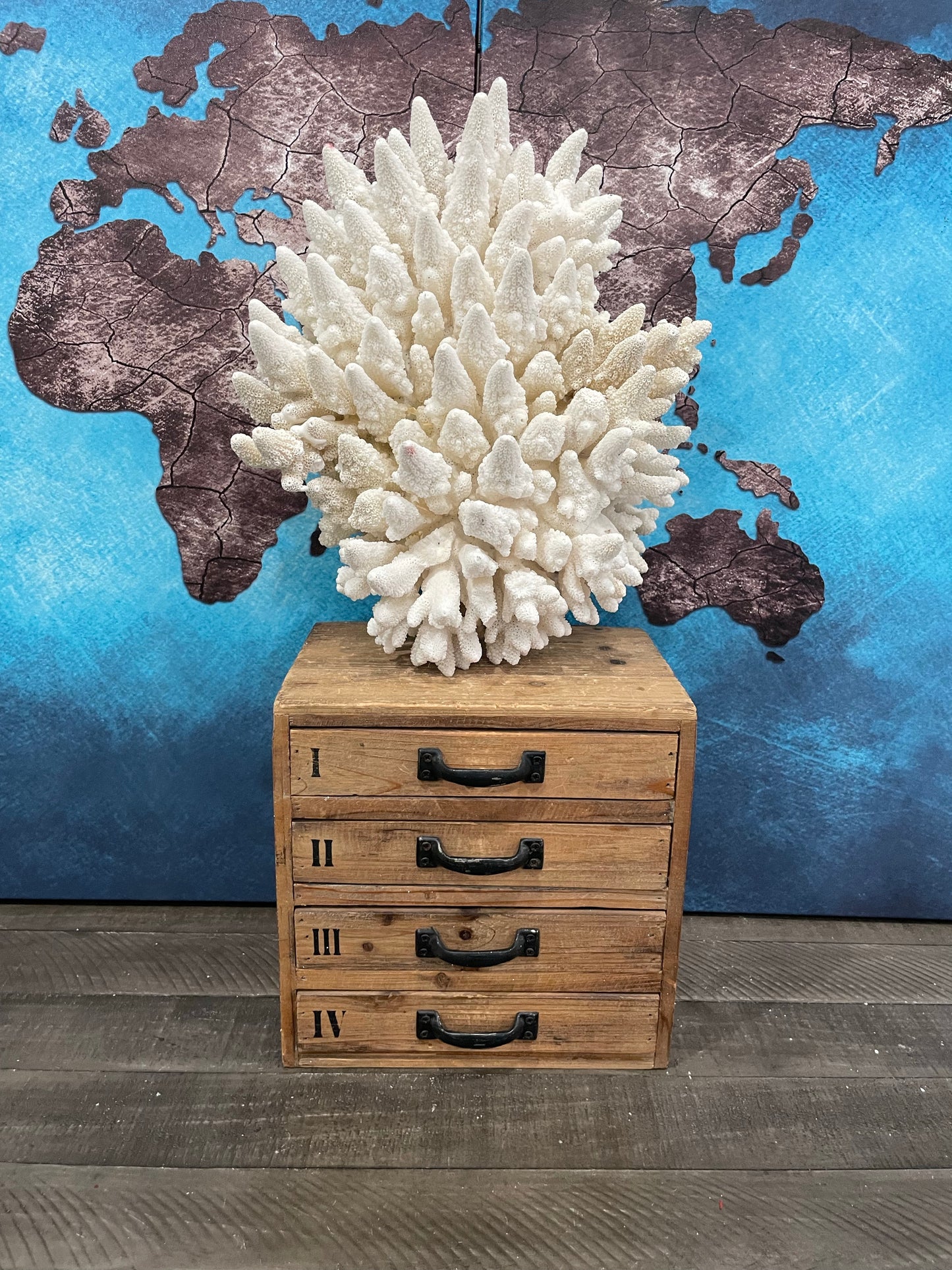 Finger Coral (14”x12”) 17 lbs