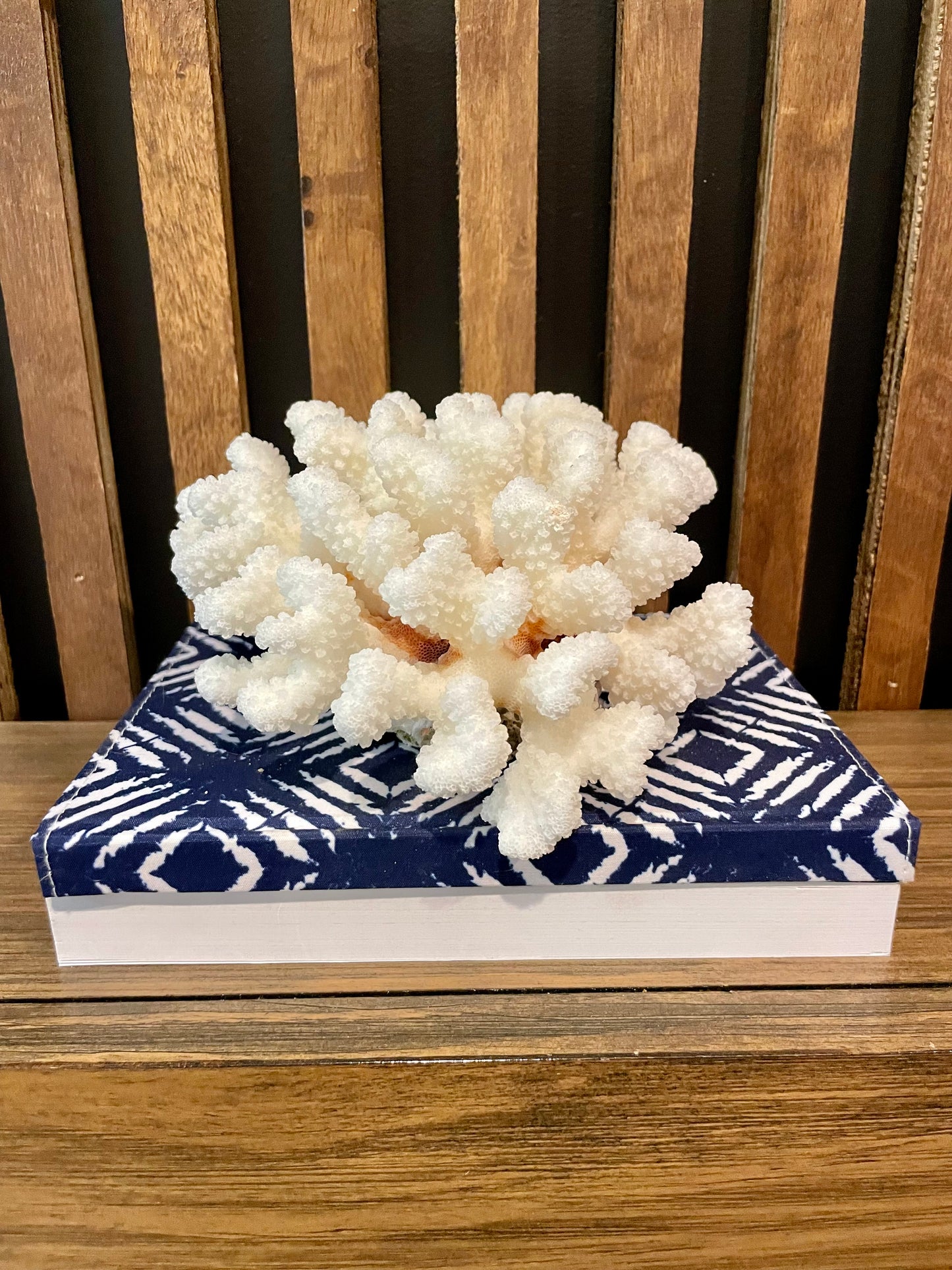 Cluster Coral (6”x6”)