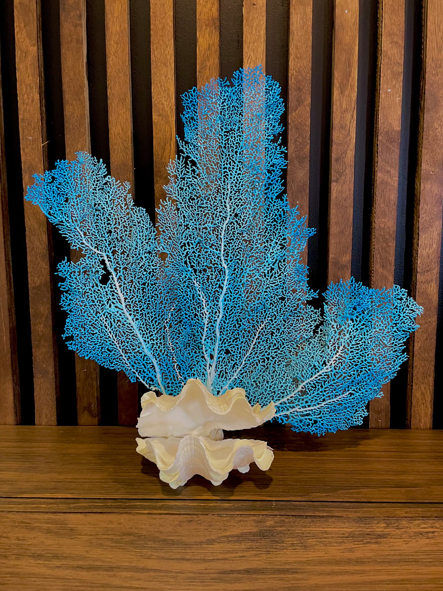 Fluted Giant Clam (6”) and Sea Fan Sculpture (17”)