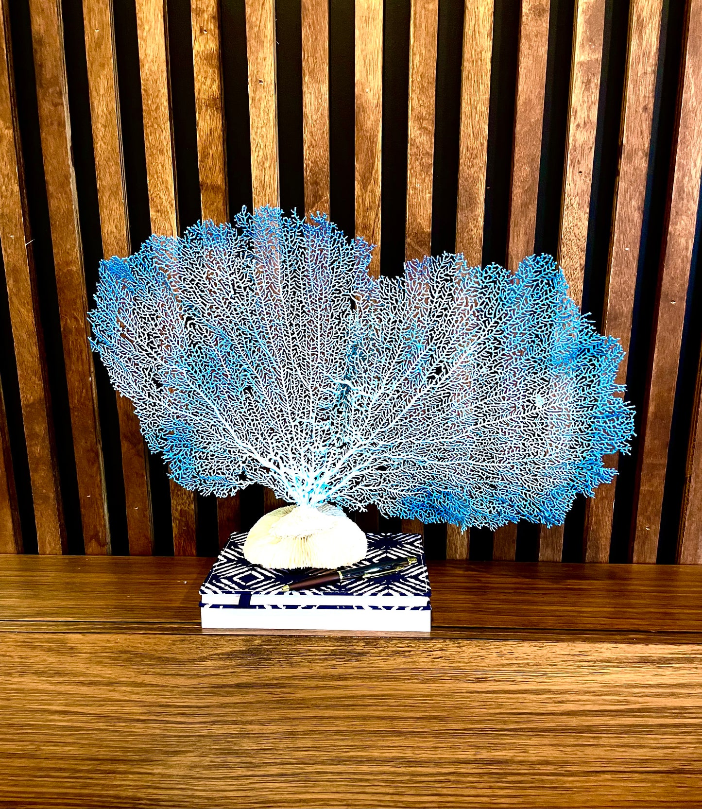 Red Sea Fan (18”) on Mushroom Coral Base