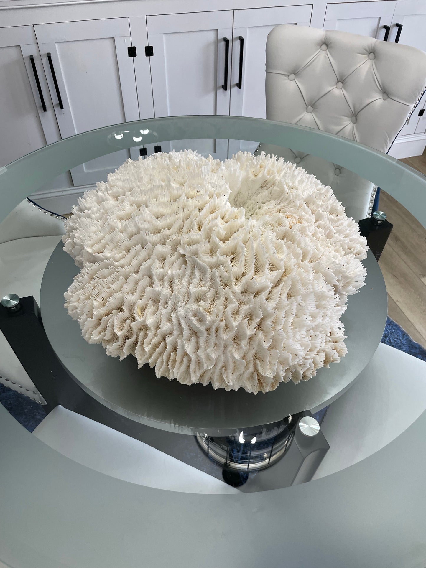 Lettuce Coral (21”x19”)