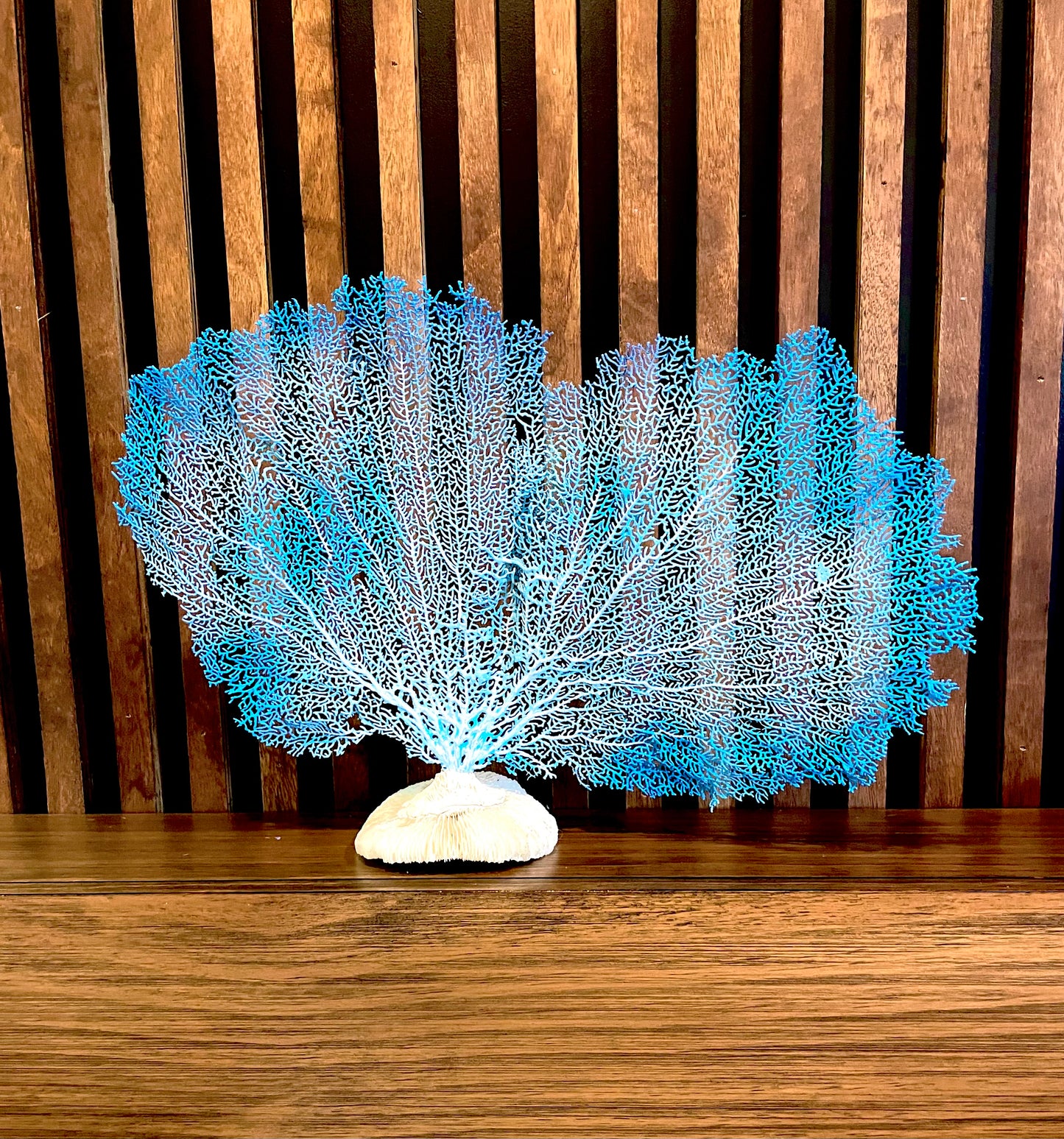 Red Sea Fan (18”) on Mushroom Coral Base