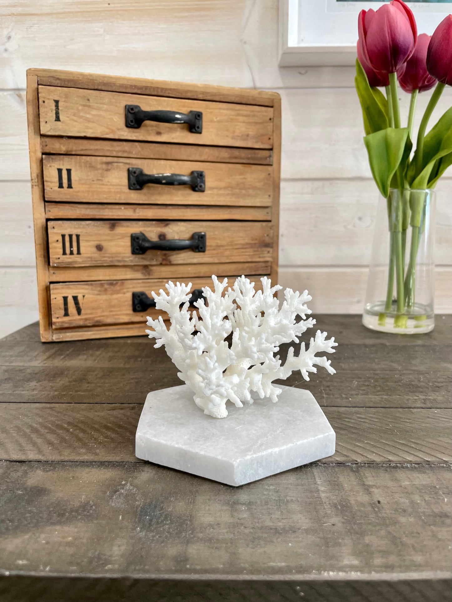 Coral (4-5”)