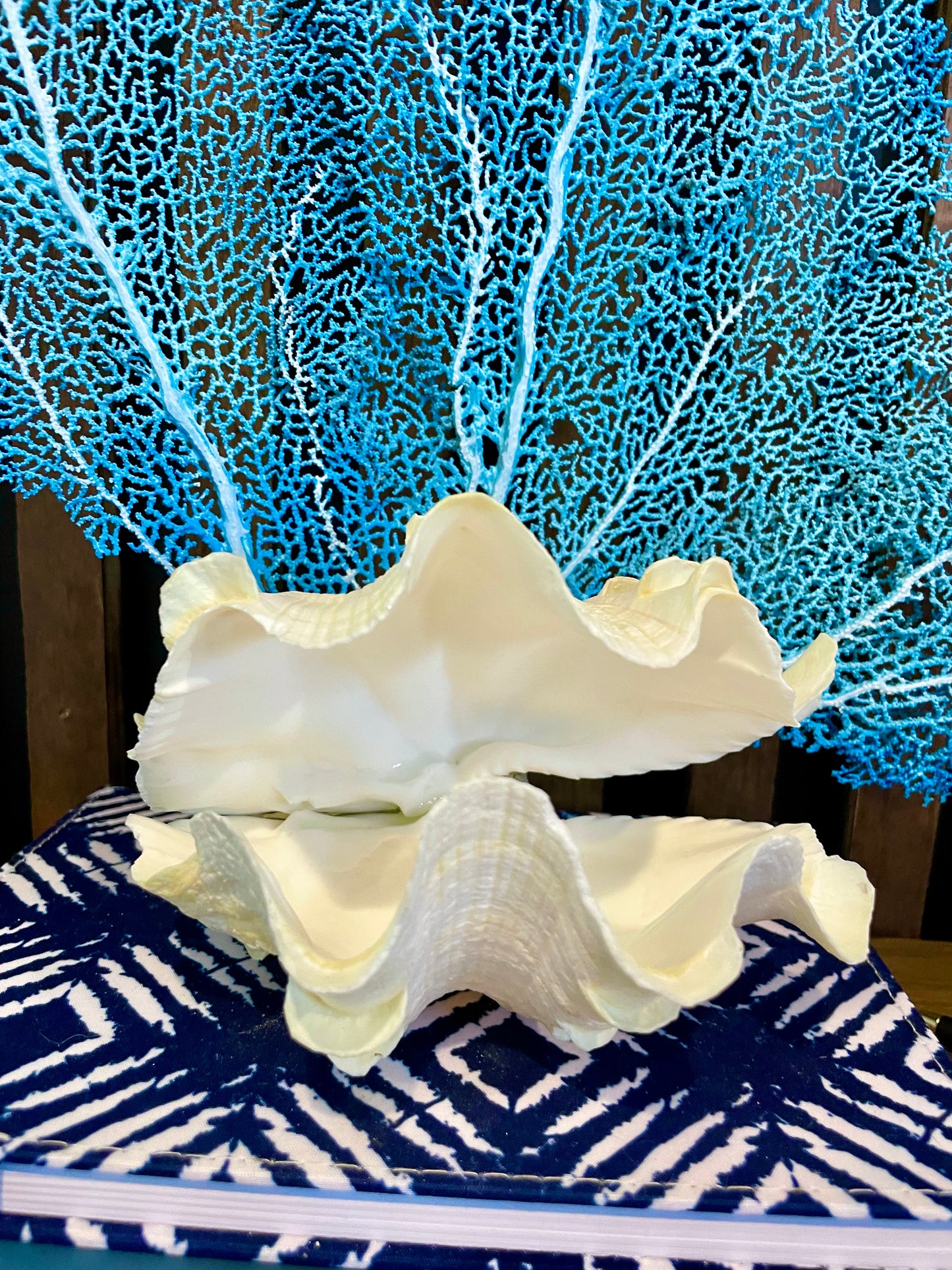 Fluted Giant Clam (6”) and Sea Fan Sculpture (17”)