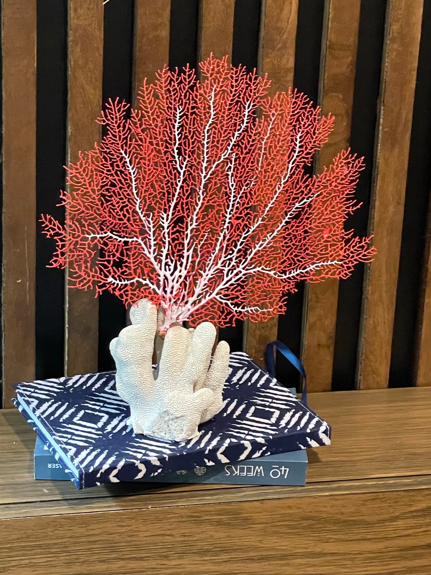 Red Sea Fan on Coral (8”x8”)