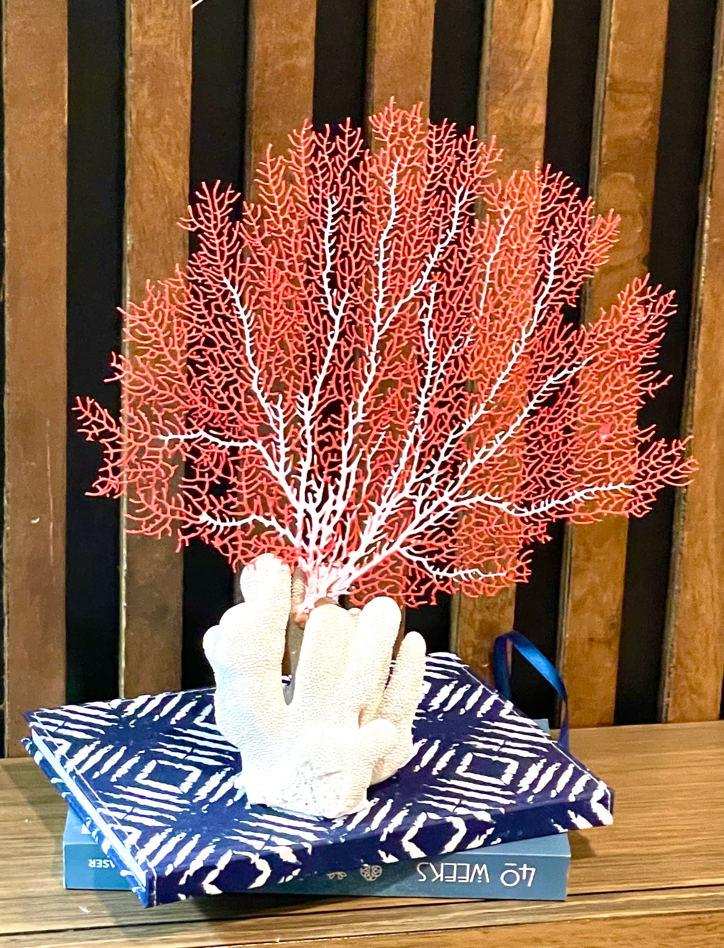 Red Sea Fan on Coral (8”x8”)