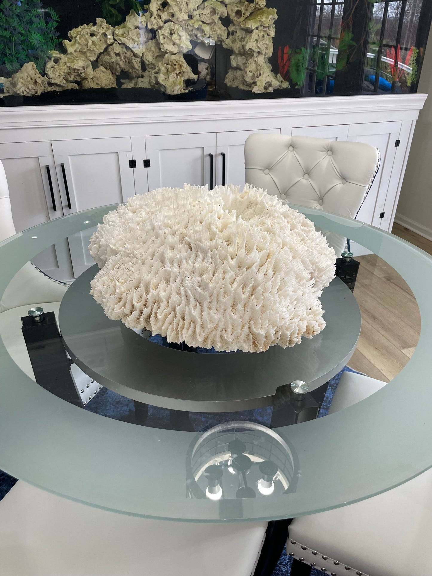 Lettuce Coral (21”x19”)