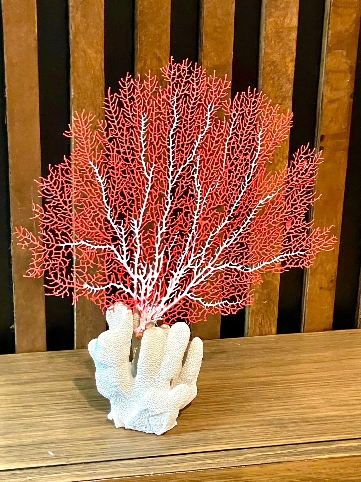 Red Sea Fan on Coral (8”x8”)