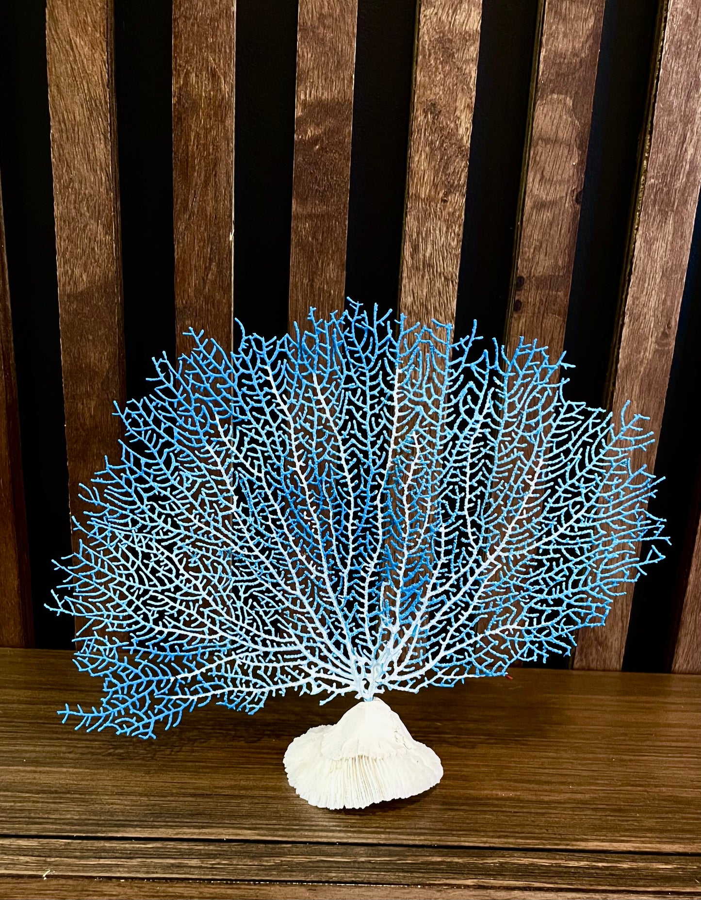 Sea Fan (10”) on a Mushroom Coral Base