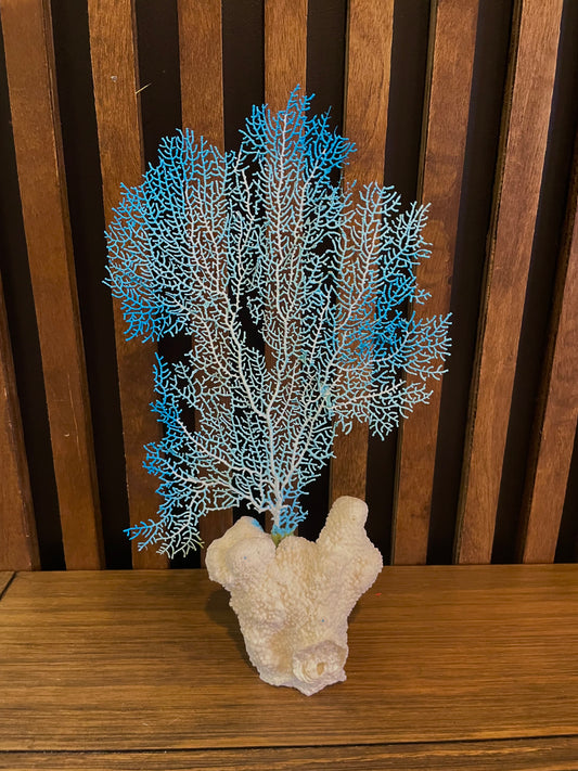 Sea Fan on Cat’s Paw Coral (13”x8”)