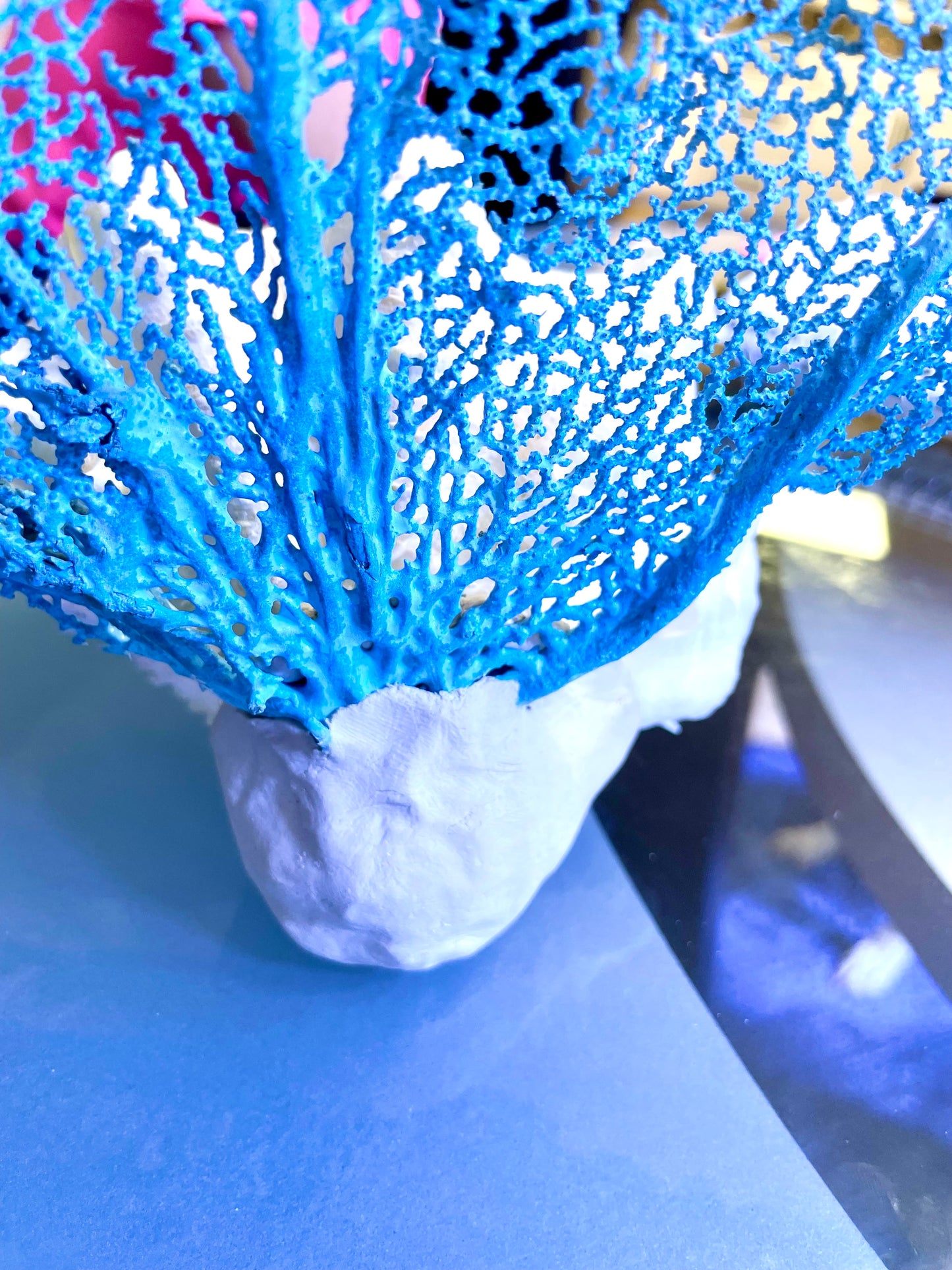 Fluted Giant Clam (6”) and Sea Fan Sculpture (17”)