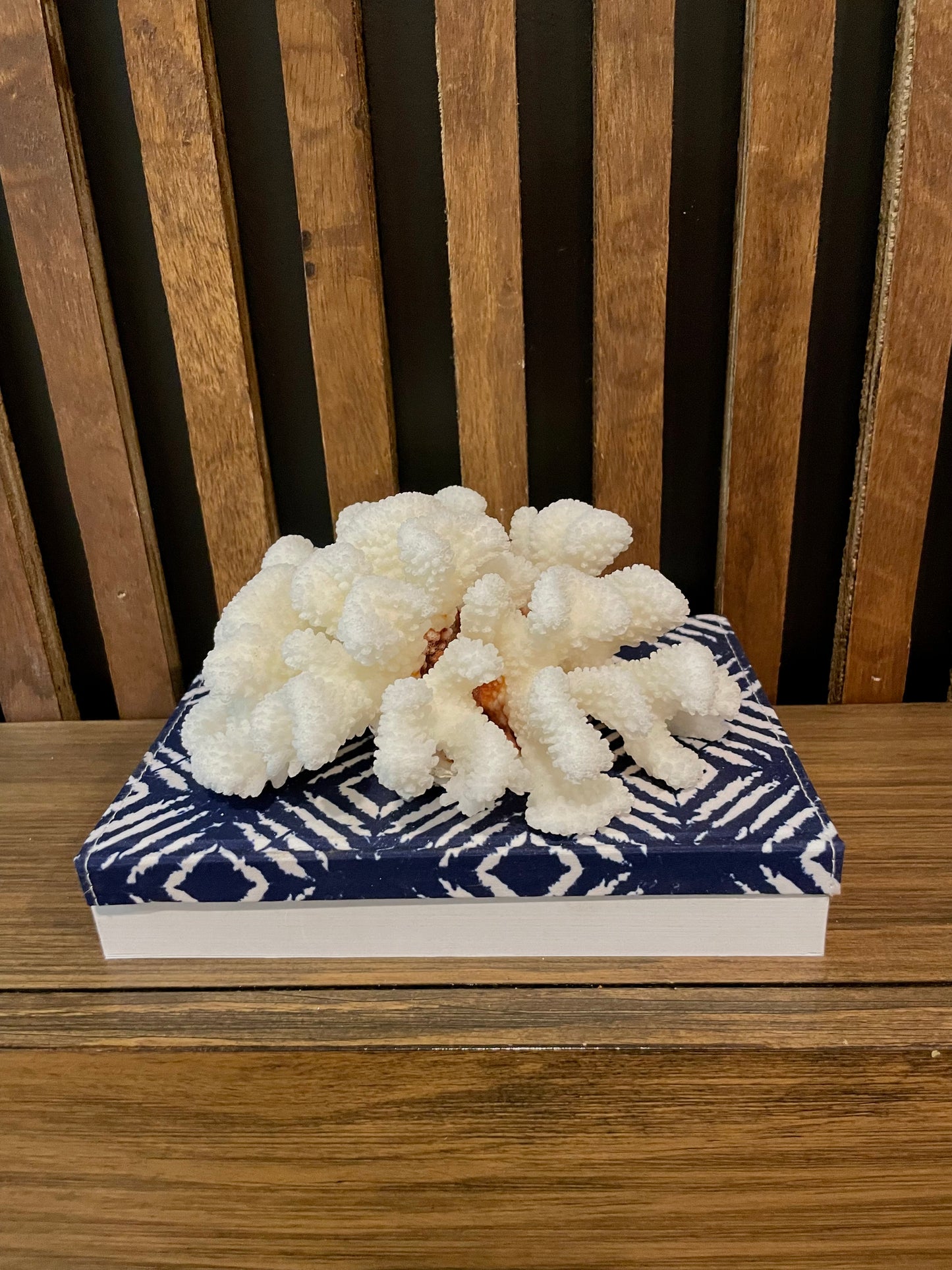 Cluster Coral (6”x6”)