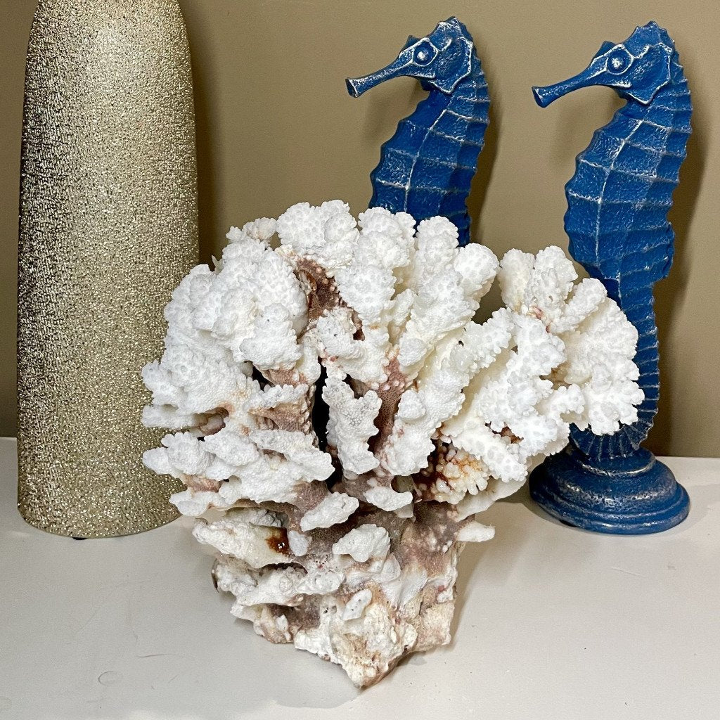 Brownstem Coral 10”x8” - Treasures from Beneath