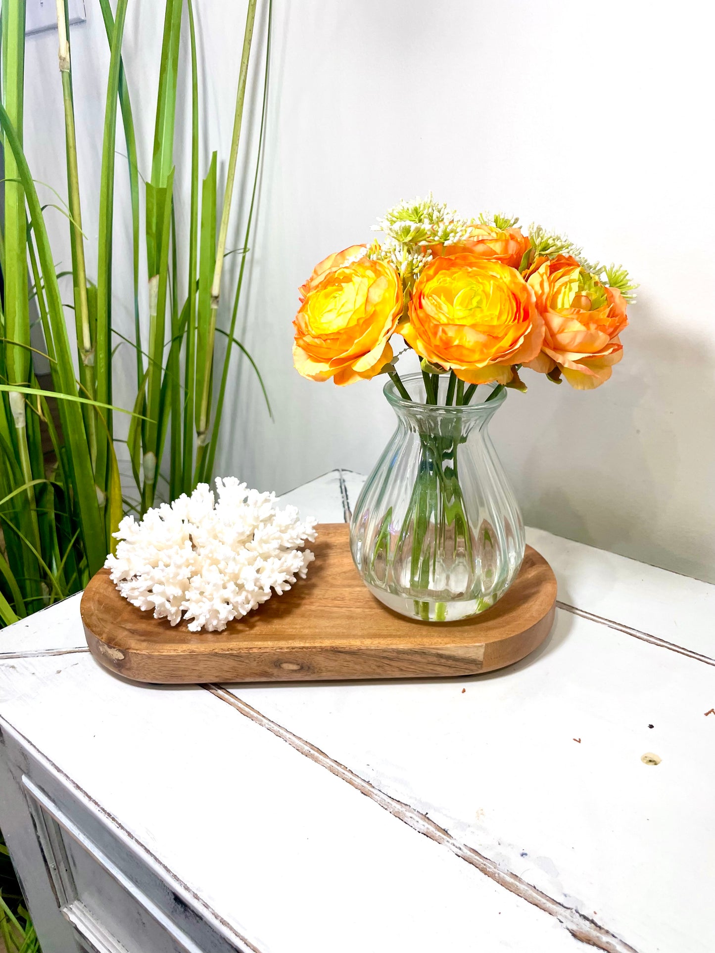 Lace Coral (5”-7”)