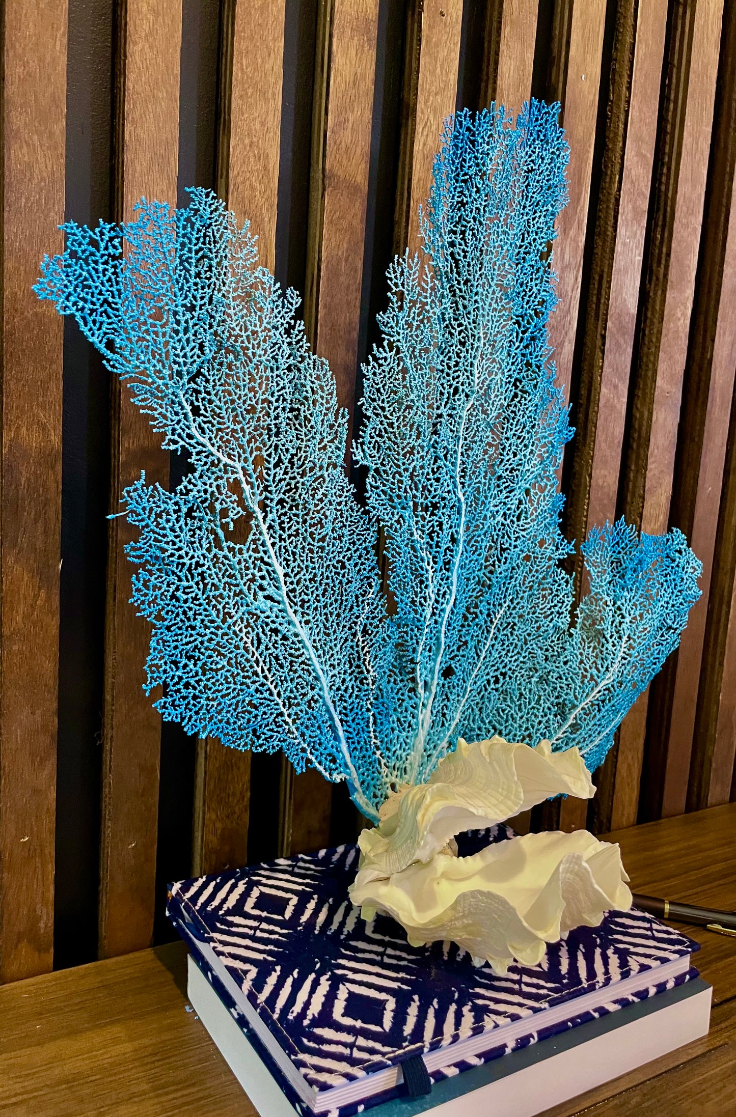 Fluted Giant Clam (6”) and Sea Fan Sculpture (17”)