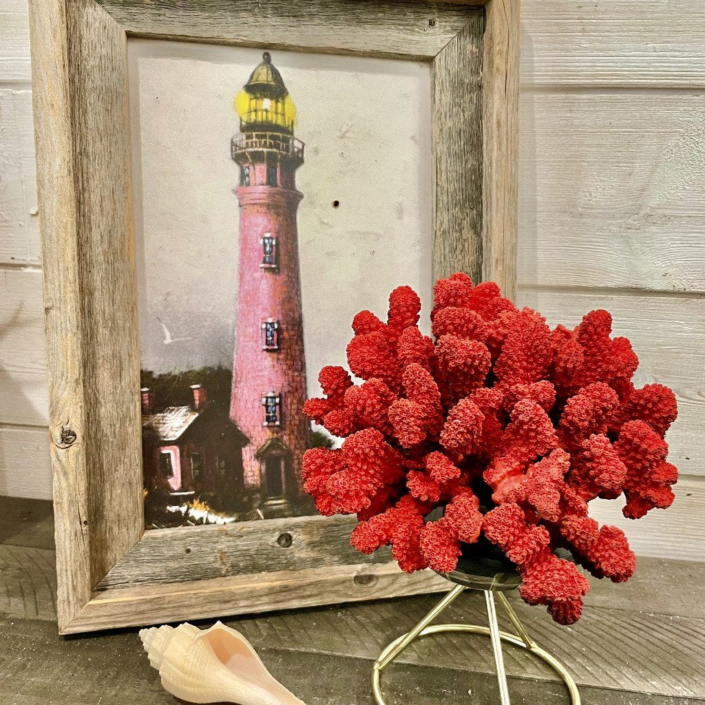 Brownstem Coral 6.5”x6.5” - Treasures from Beneath