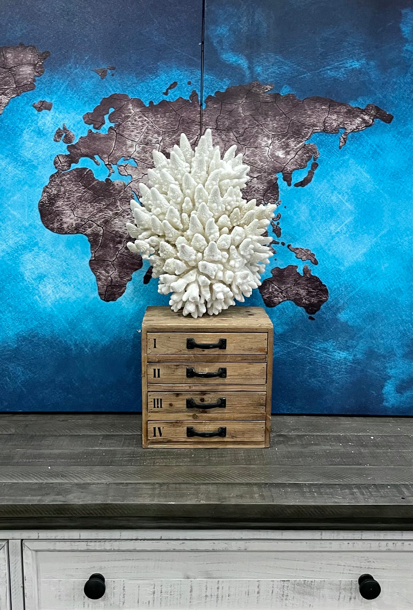 Finger Coral (14”x12”) 17 lbs