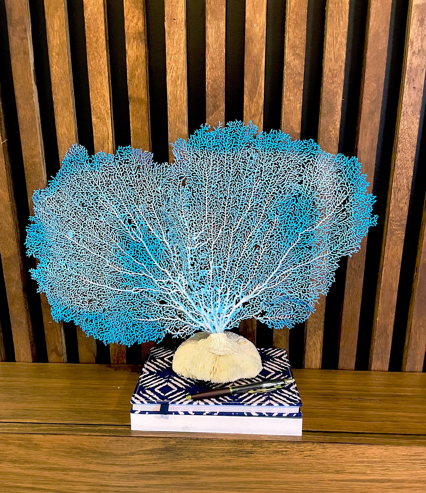 Red Sea Fan (18”) on Mushroom Coral Base