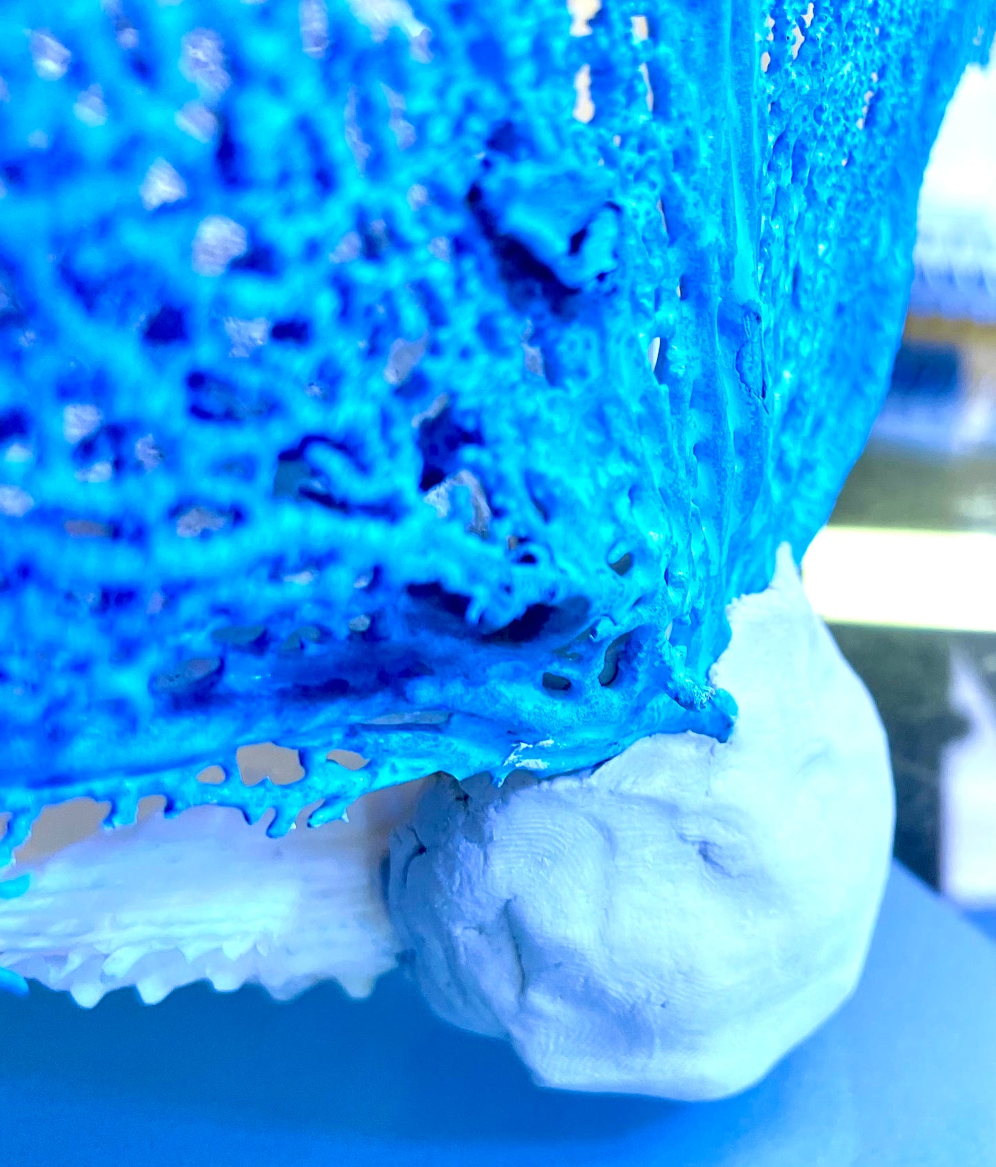 Fluted Giant Clam (6”) and Sea Fan Sculpture (17”)