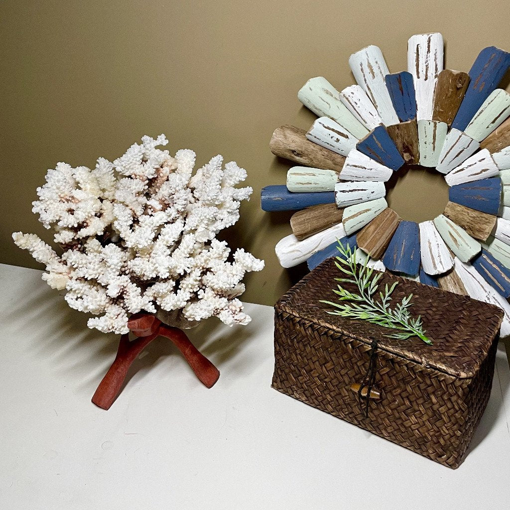 Brownstem Coral 10”x10” - Treasures from Beneath
