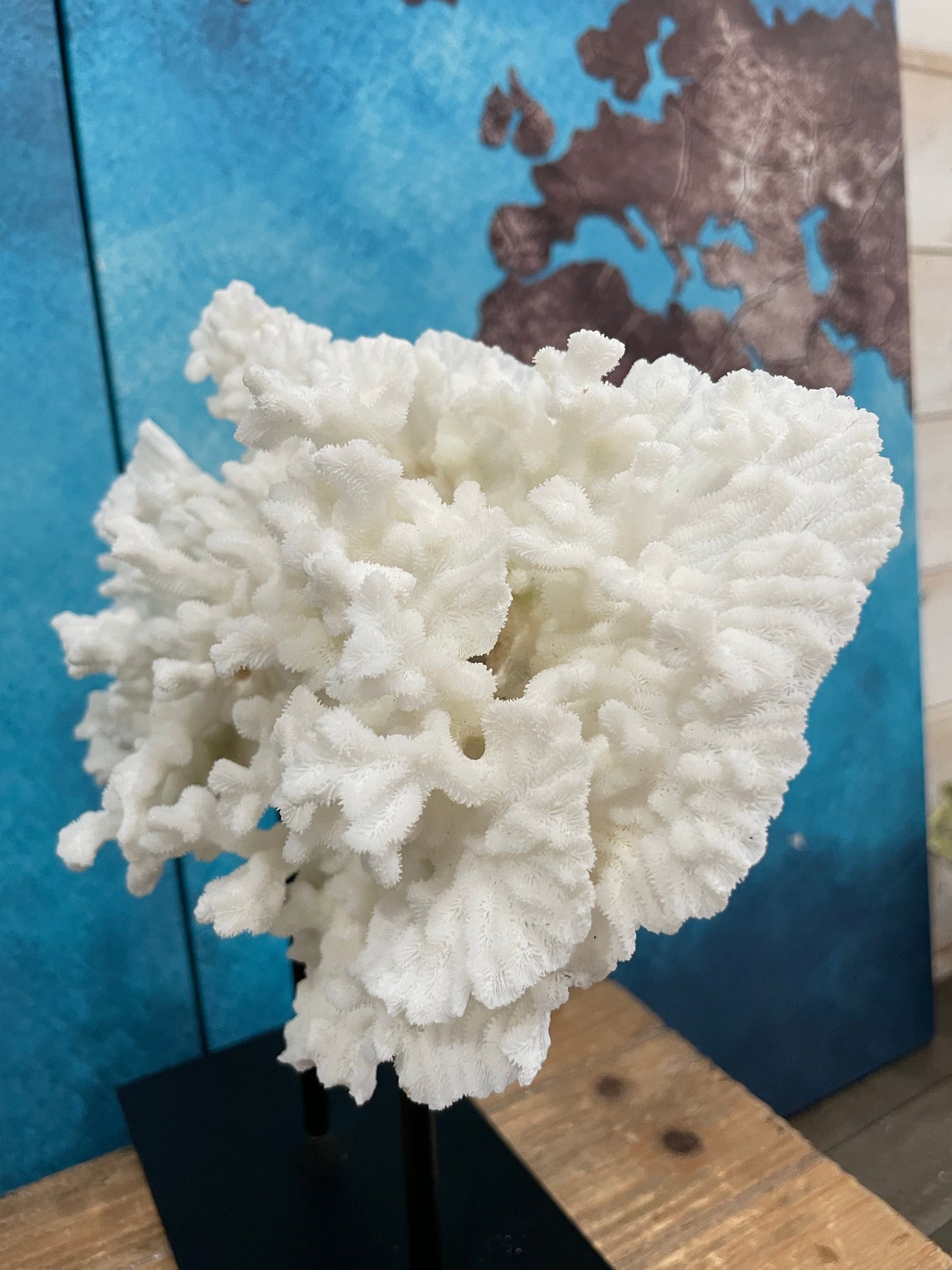 Merulina Coral (11”x10”) on Metal Stand