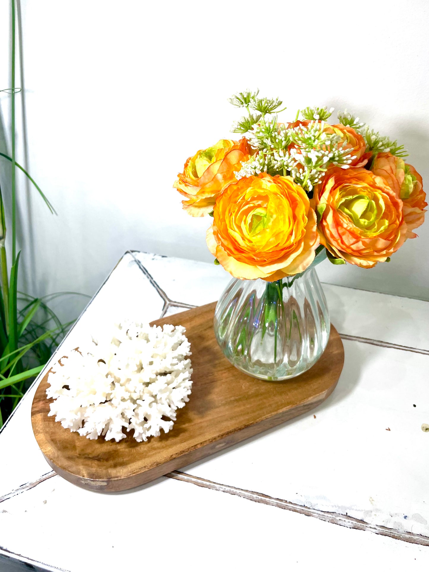 Lace Coral (5”-7”)
