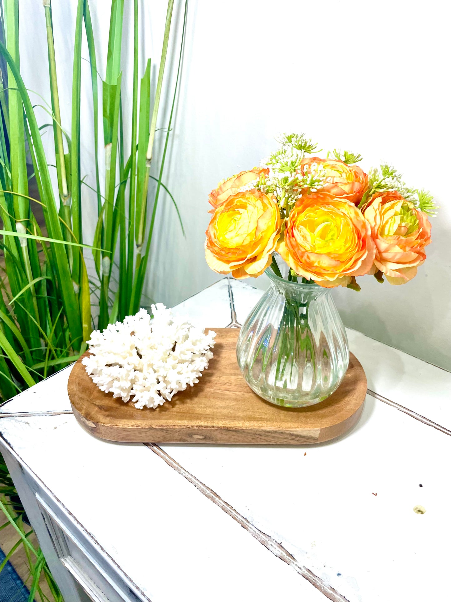 Lace Coral (5”-7”)