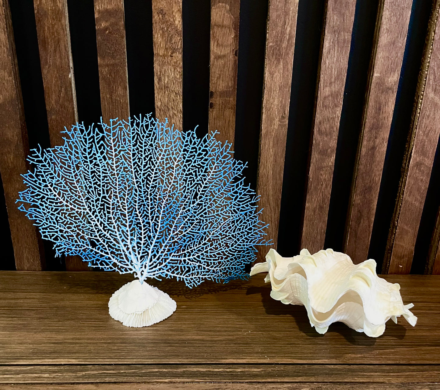 Sea Fan (10”) on a Mushroom Coral Base
