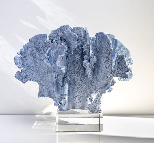 Blue Ridge Coral: A Natural and Beautiful Home Décor Piece