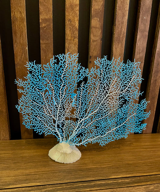 Red Sea Fan (10”) on a Mushroom Coral Base