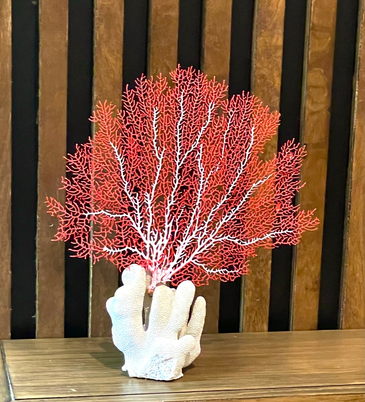 Red Sea Fan on Coral (8”x8”)