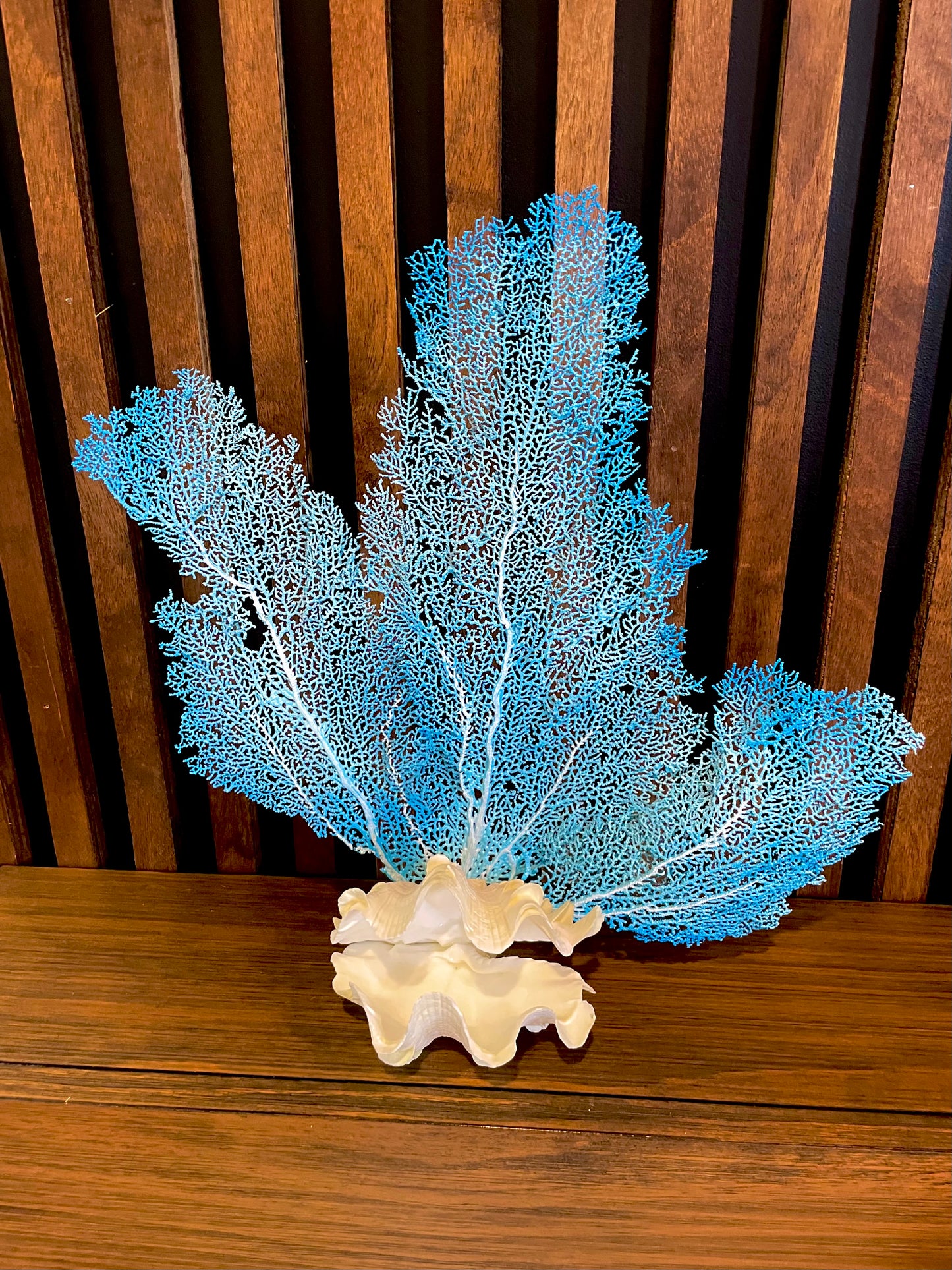 Fluted Giant Clam (6”) and Sea Fan Sculpture (17”)