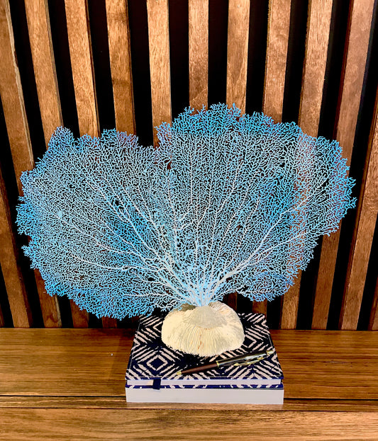 Red Sea Fan (18”) on Mushroom Coral Base