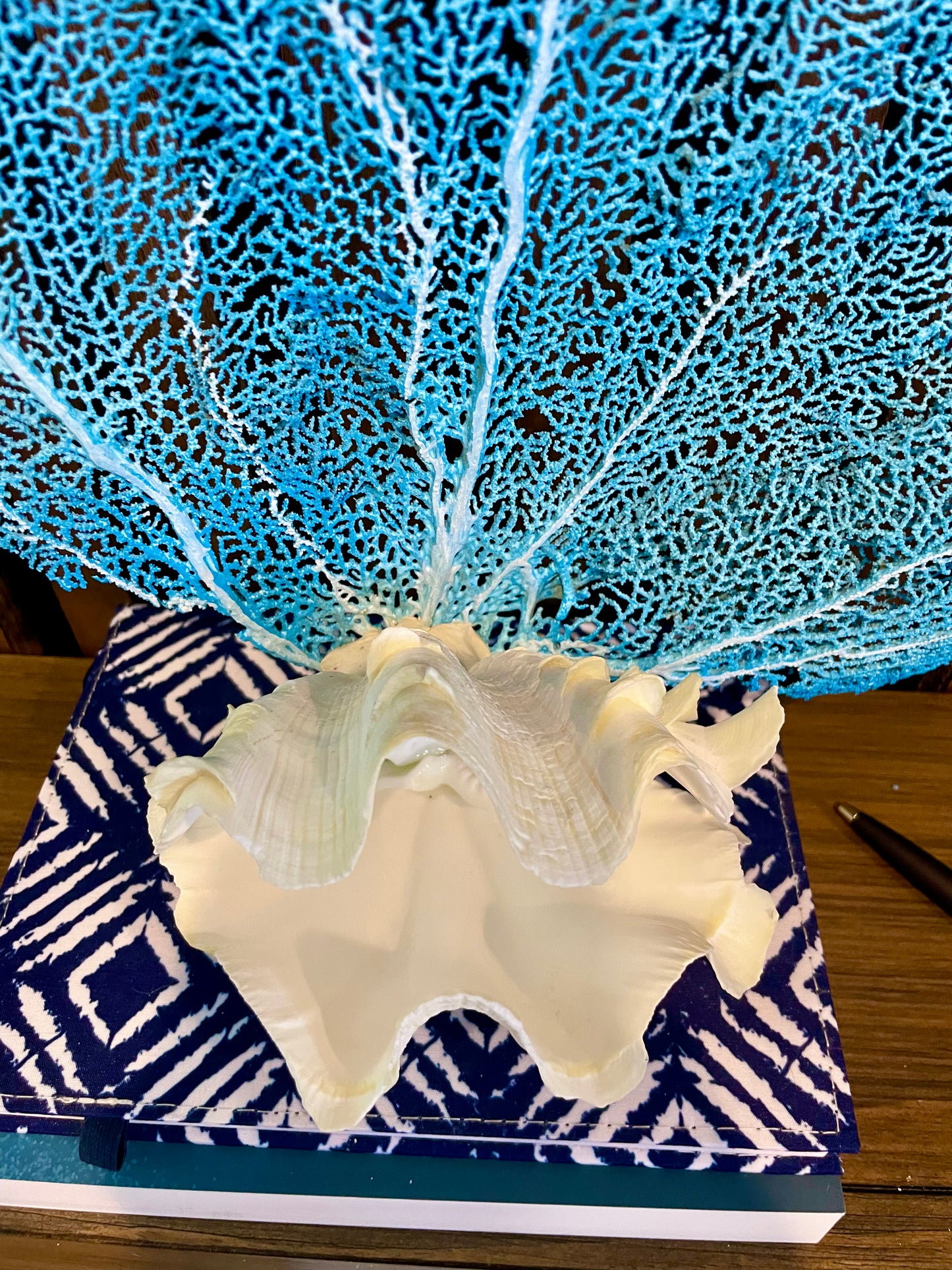 Fluted Giant Clam (6”) and Sea Fan Sculpture (17”)