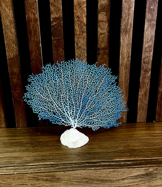 Sea Fan (10”) on a Mushroom Coral Base